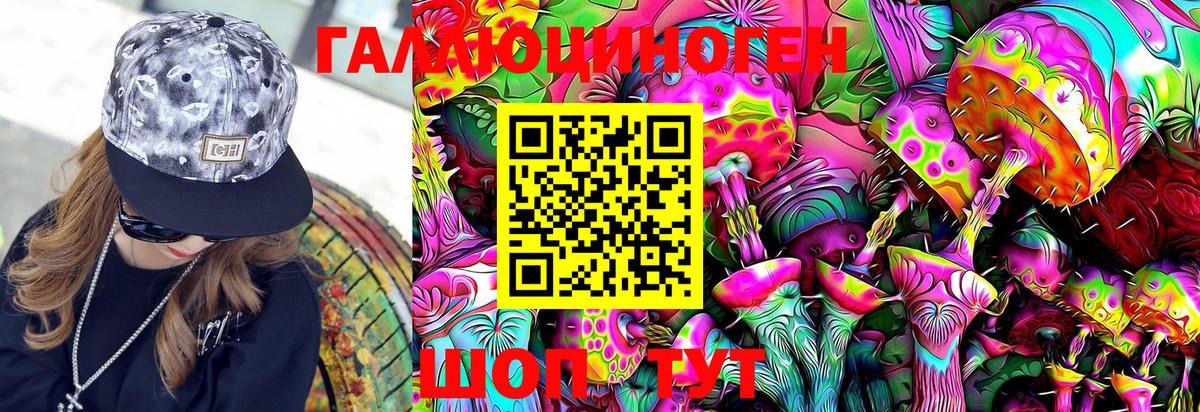 Галлюциногенные грибы Psilocybe Стрежевой